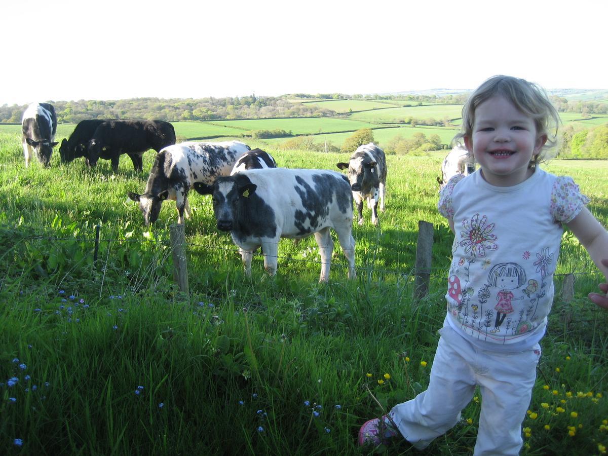 Three Gates Farm Holiday Cottages Huntsham Dış mekan fotoğraf